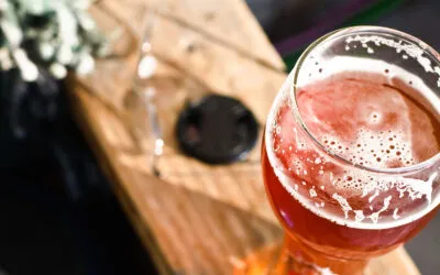 Birra: il boom delle “nazionali” fa crescere la produzione di malto e la produzione dei microbirrifici, ben 862 in Italia