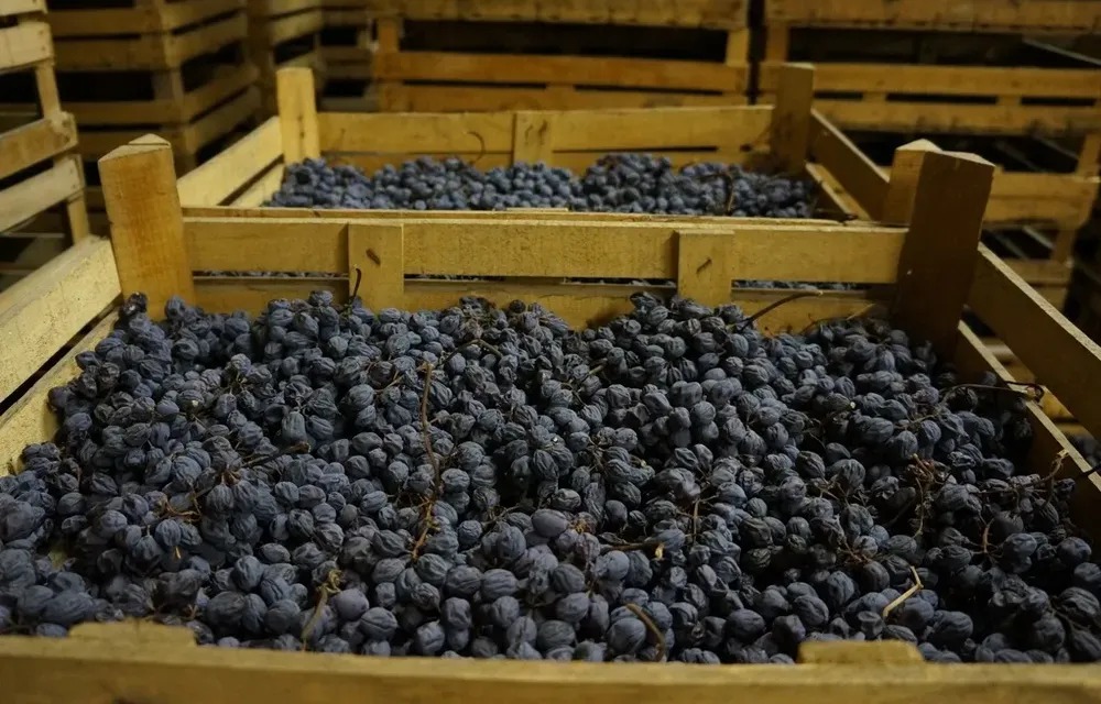 Sold out a Moncalieri per la prima dell’Alta Langa, il primo metodo classico italiano