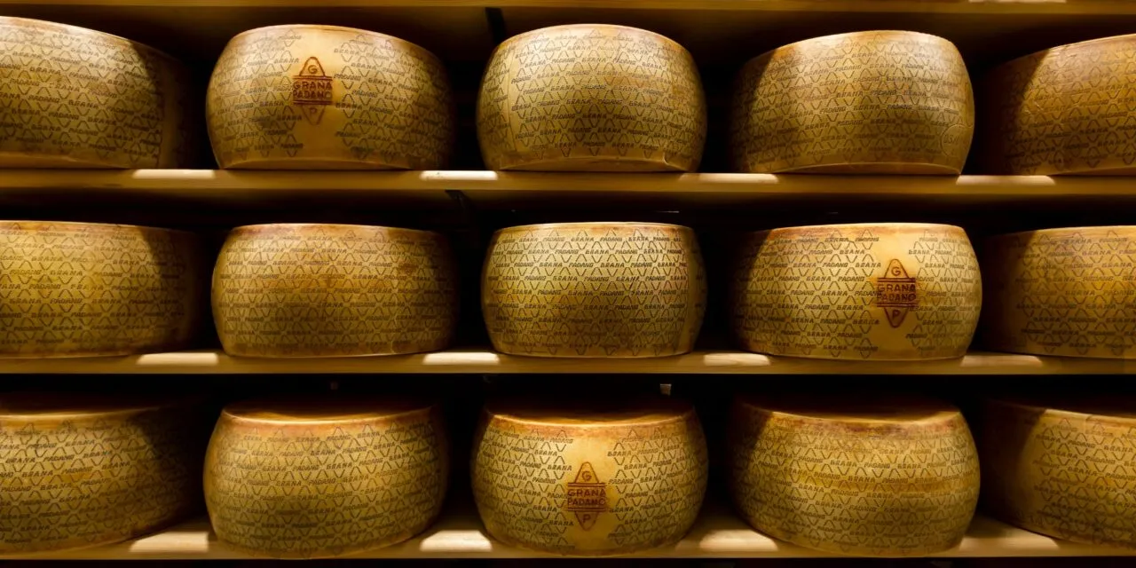 Intesa Sanpaolo, finanziamenti per la filiera del Grana Padano DOP. Focus sulla transizione green