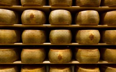 Intesa Sanpaolo, finanziamenti per la filiera del Grana Padano DOP. Focus sulla transizione green