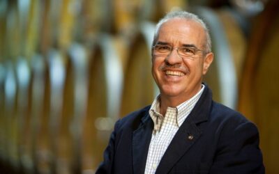 Brunello di Montalcino, parla Bindocci: l’annata 2015 è più forte del Covid-19