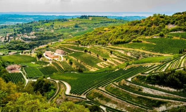 Valpolicella Patrimonio Unesco. Si avvia a conclusione la fase 1 del dossier. Ne parla il Direttore Matteo Tedeschi.