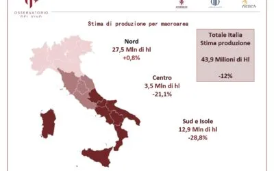 Vendemmia 2023, Assoenologi: produzione italiana in calo del 12%: il peggior raccolto negli ultimi sei anni