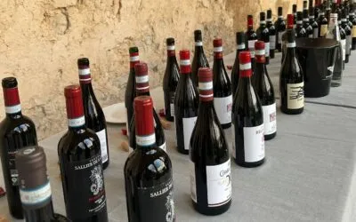 Nero d’Avola, cinque interpretazioni da portare in tavola questo autunno: la degustazione