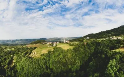 Monti Lessini Durello, cresce per qualità e numeri il metodo classico della montagna veronese e berica