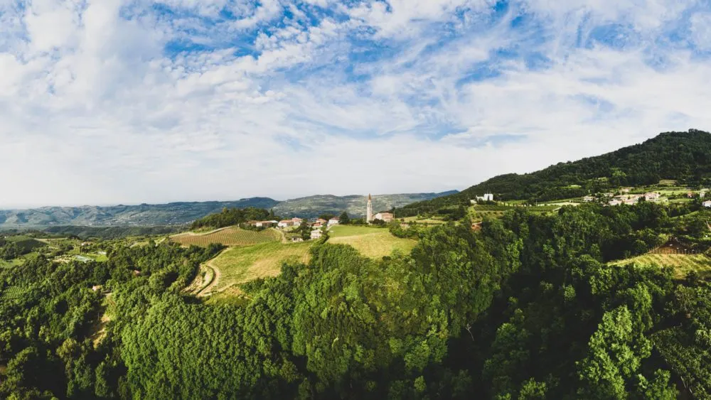 Monti Lessini Durello, cresce per qualità e numeri il metodo classico della montagna veronese e berica