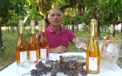 di Filippo “Estasi in Armonia” Moscato passito di Trani Doc metodo classico Pas Dosé 2017. La degustazione