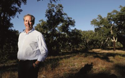 Amorim 2024, così l’azienda più antica del mondo sta rivoluzionando la coltivazione del sughero proiettandola nella A.I.