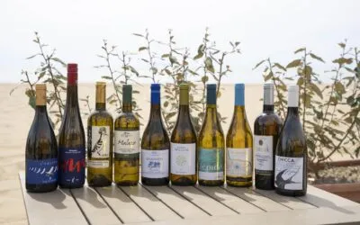 Vermentino Grand Prix 2024, ecco i dieci migliori bianchi della Maremma Toscana