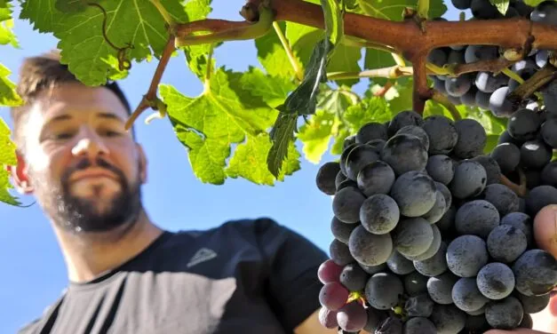 Thomas Conzato. Il vignaiolo esploratore che pratica l’agroecologia e sfida il suo territorio