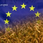 Politiche Agricole ed elezioni europee 2024. Il silenzio assordante dei partiti .