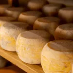 Genius-loci turismo e formaggio report