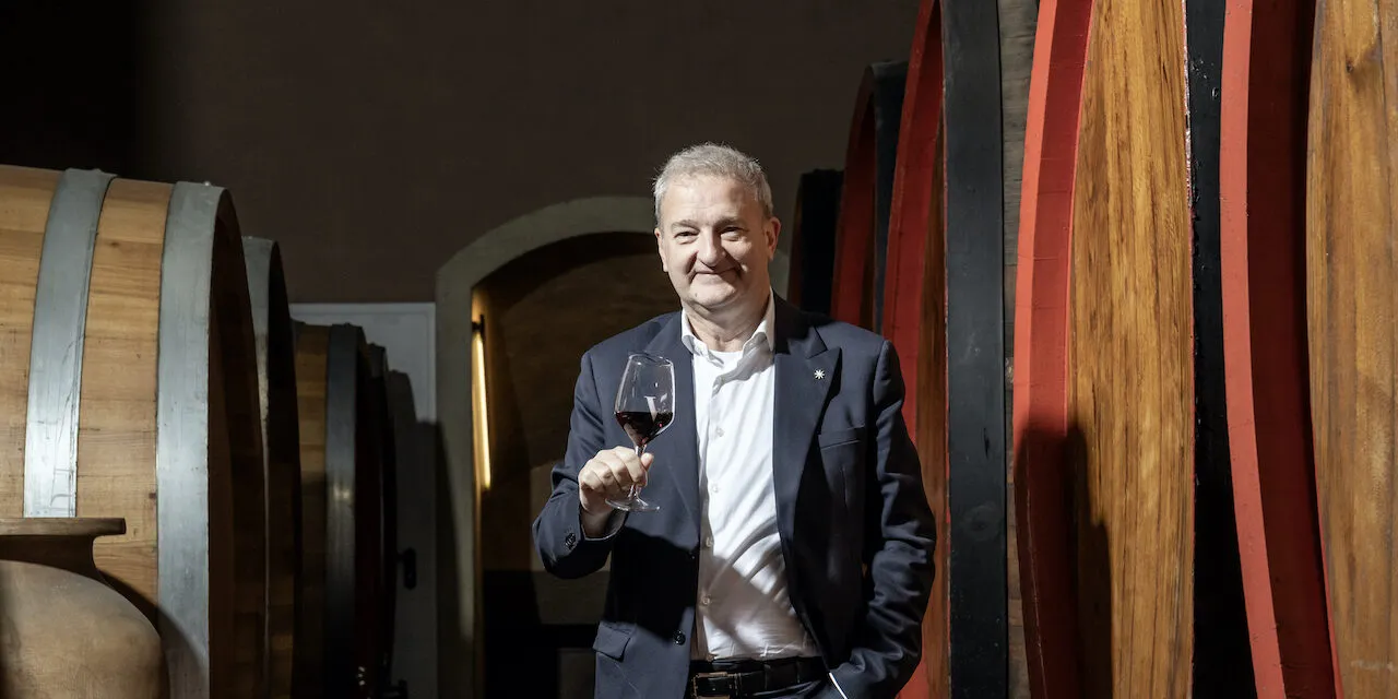 Cantine Vitevis, Gianfranco Gambesi è il nuovo direttore generale