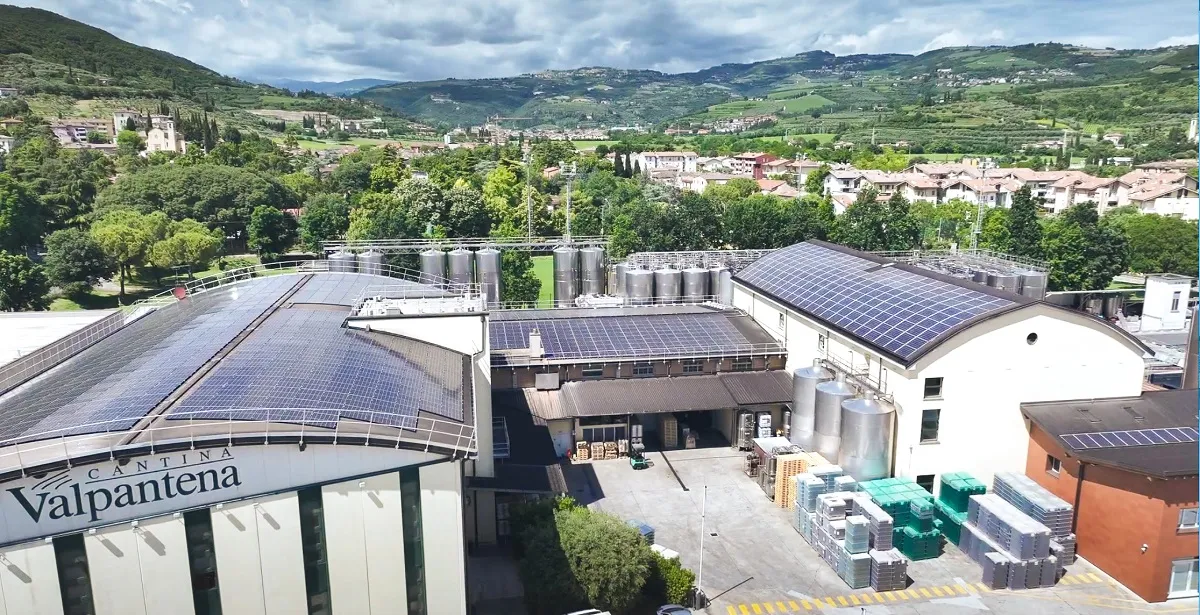 Cantine di Verona pubblica il suo primo bilancio di sostenibilità