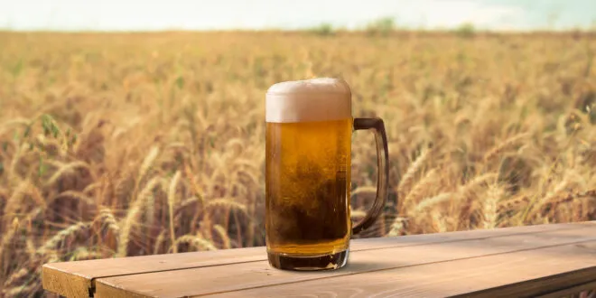 birra artigianale